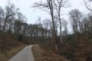 Forêt de la Londe-Rouvray